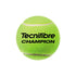 Tecnifibre Champion  Tennis Balls (Pack of 4 Cans, 12 Balls) – Triple Point Sports