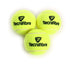 Tecnifibre Champion  Tennis Balls (Pack of 4 Cans, 12 Balls) – Triple Point Sports