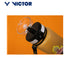 Victor PG-871DBZ-C DragonBall Z Bottle