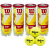 Wilson Championship Tennis Ball – 12 Ball Bundle (4 Cans)