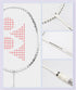 Yonex Astrox 10 Badminton Racket