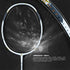 Apacs Ziggler Next Generation Badminton Racket