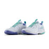 Li-Ning All Around Non Marking Badminton Shoes