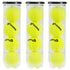 Tecnifibre Training Tennis Balls - Pack of 3 (Total 12 Balls)