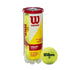 Wilson Championship Tennis Ball – 12 Ball Bundle (4 Cans)